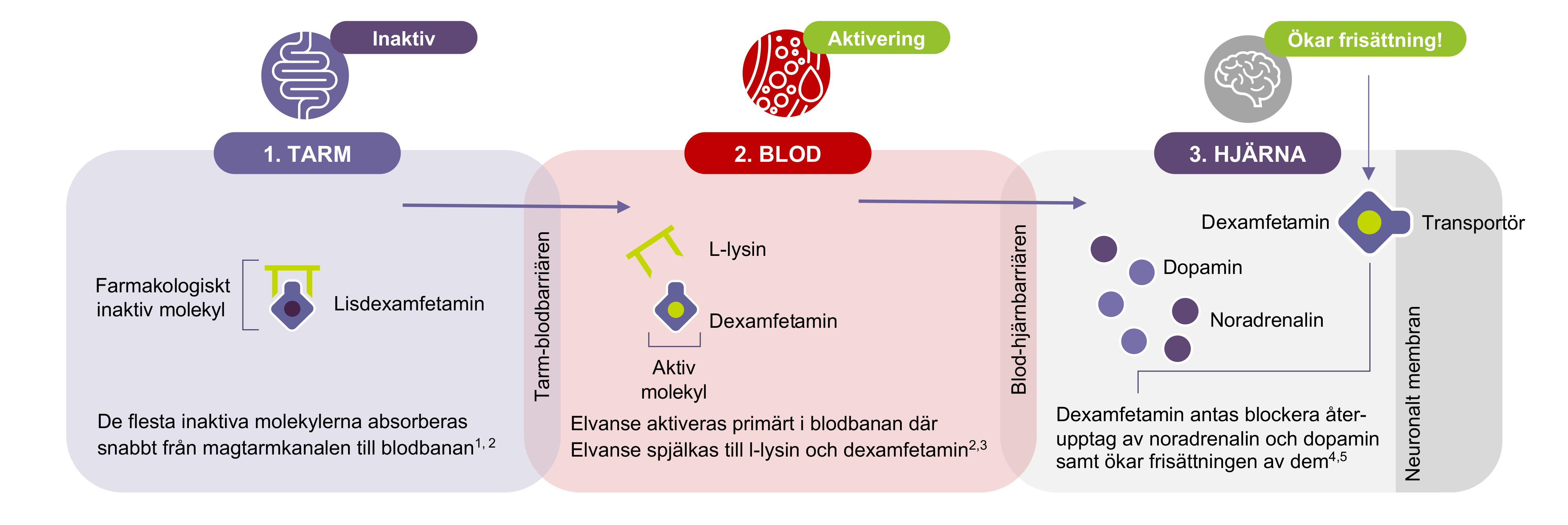 Prodrug-teknologi